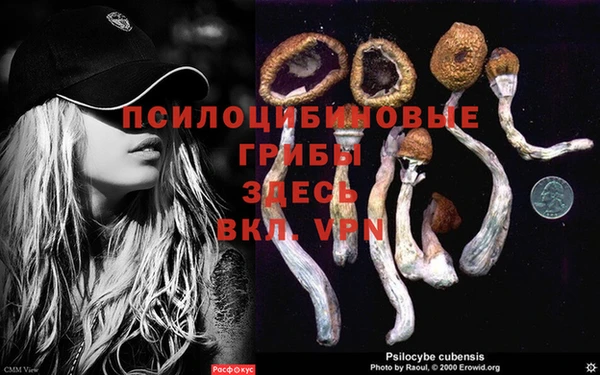 герыч Абаза