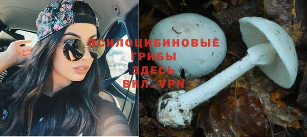 кокаин Абинск