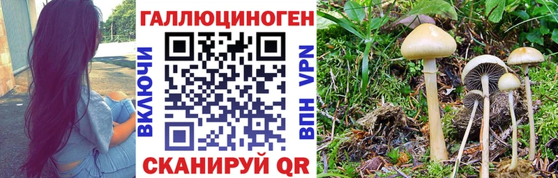 Галлюциногенные грибы мицелий  Шахты 