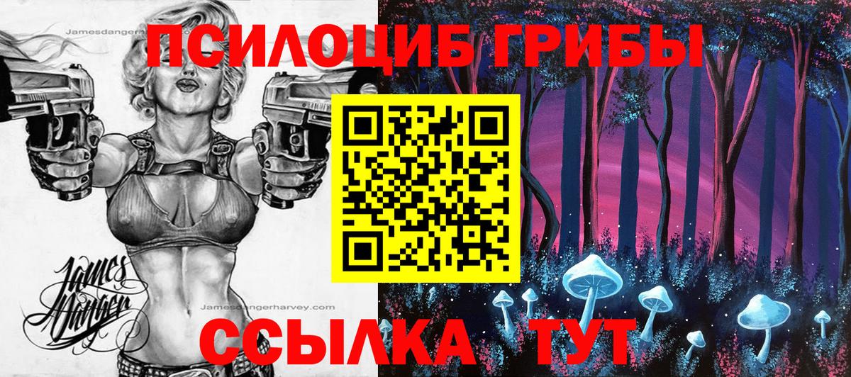 Псилоцибиновые грибы Cubensis Шахты