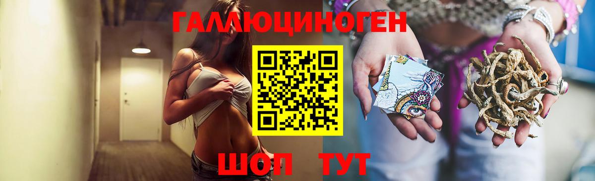 Псилоцибиновые грибы MAGIC MUSHROOMS  купить закладку  Вход с VPN  Шахты  Псилоцибиновые грибы мицелий 