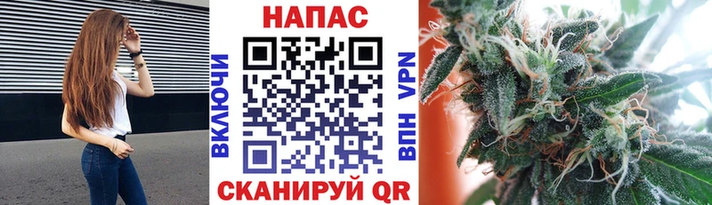 Бошки Шишки план Шахты